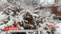 Синоптики прогнозируют мокрый снег и дождь по всей Украине