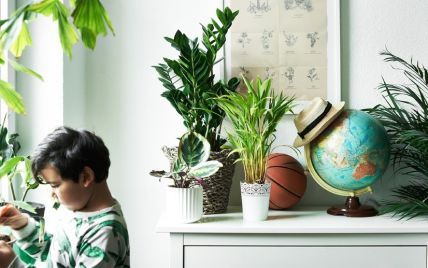 Эти цветы навредят ребенку: 5 правил озеленения детской комнаты