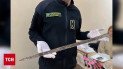 В останню мить... "чорні" археологи пограбували Хортицю