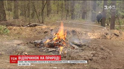 За мусор или пикник в незаконных местах киевлян будут наказывать большим штрафом