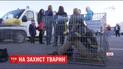 В Луцке зоозащитники залезли в клетки и просили посетителей не идти на спектакль в цирк