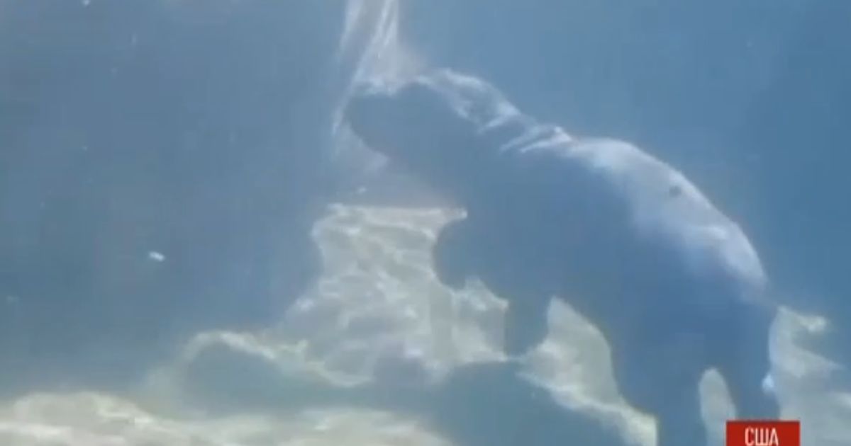 Малюка вчить плавати мати