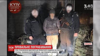 На Київщині троє чоловіків хотіли пограбувати будинок депутата
