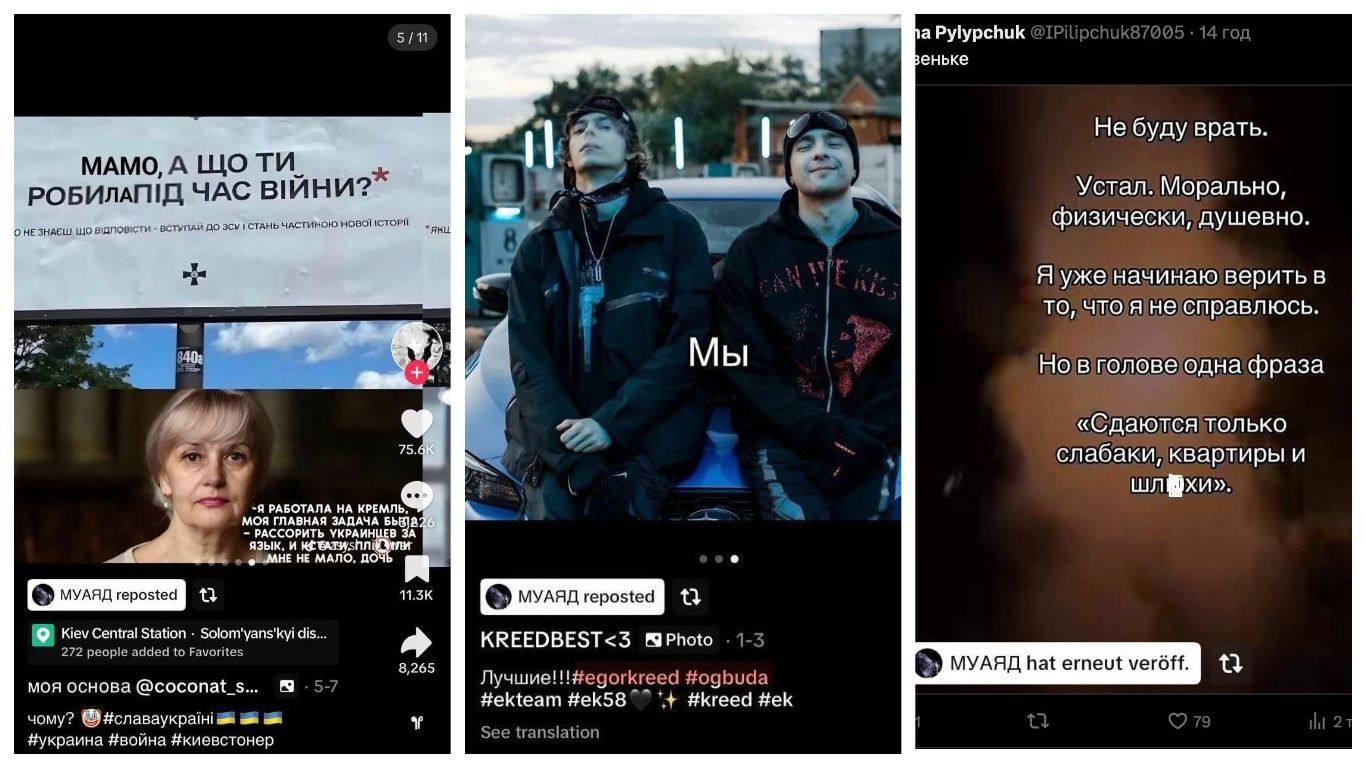 Репосты в TikTok, которые делал МУАЯД / © 