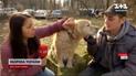 Історія гідна сценарію кіно! Собака-поводир, яка зникла два роки тому, знайшлася