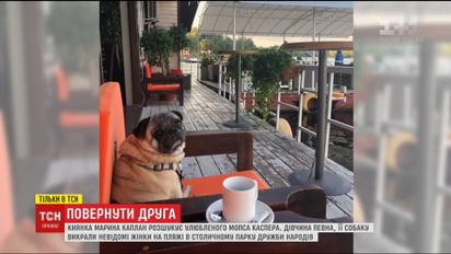 Вернуть друга. Киевлянка разыскивает мопса, которого, вероятно, похитили посреди дня на пляже