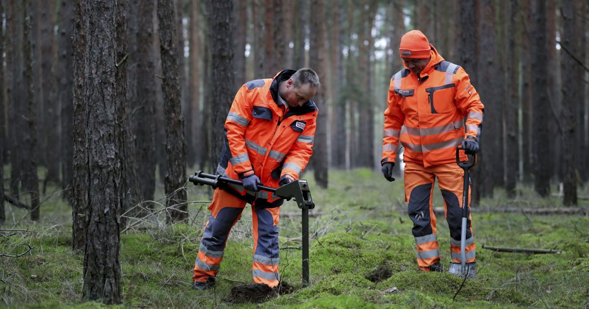 У Німеччині суд дозволив Tesla продовжити вирубку лісу