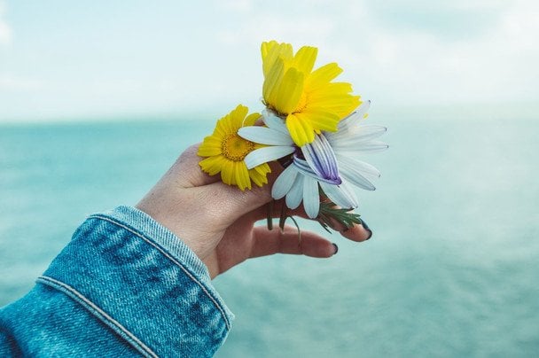 День ангела 8 липня — душевні привітання в прозі / © pexels.com