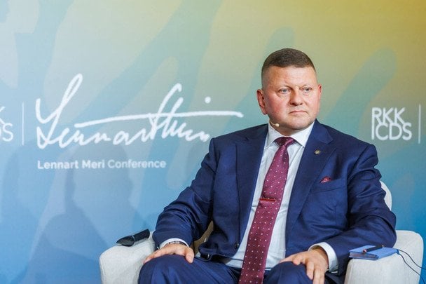 Бывший главнокомандующий ВСУ и посол Украины в Великобритании Валерий Залужный / © Валерий Залужный / Telegram