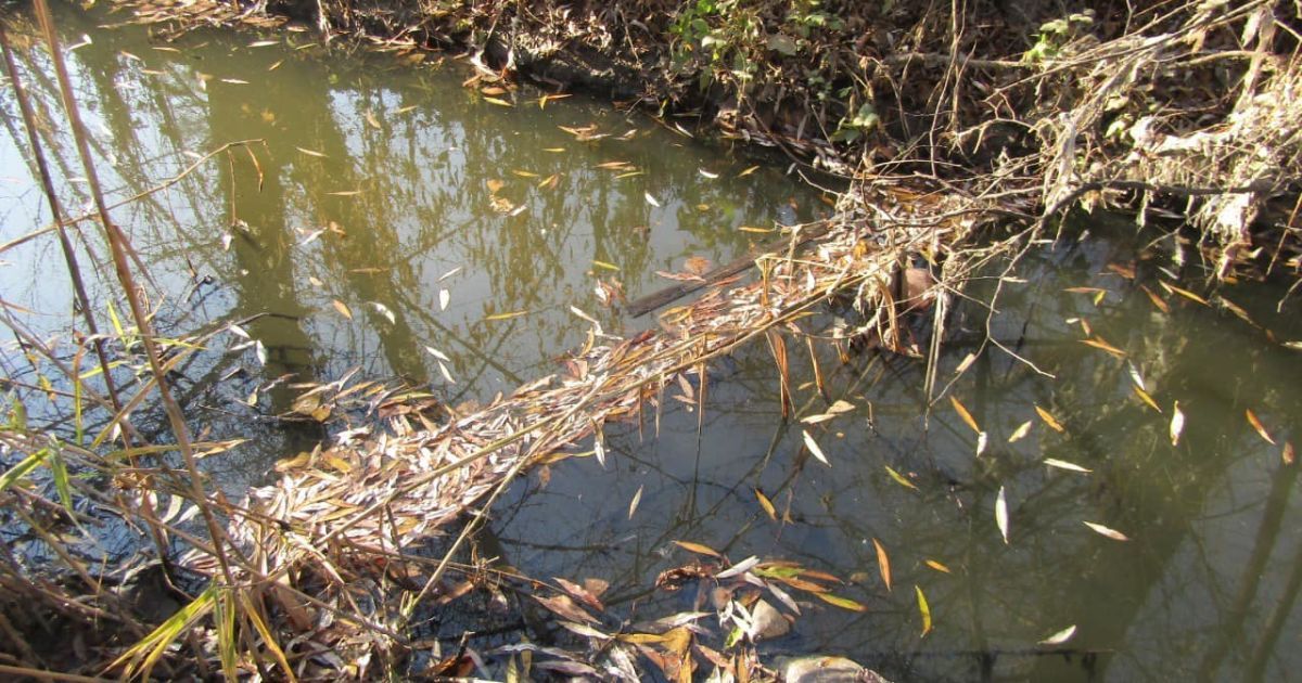 Під Києвом річку Стугну забруднено викидами пічних матеріалів: фото