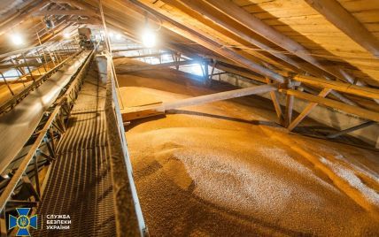 Убытки на миллиарды: СБУ ликвидировала схему хищения зерна, к которой причастны таможенники