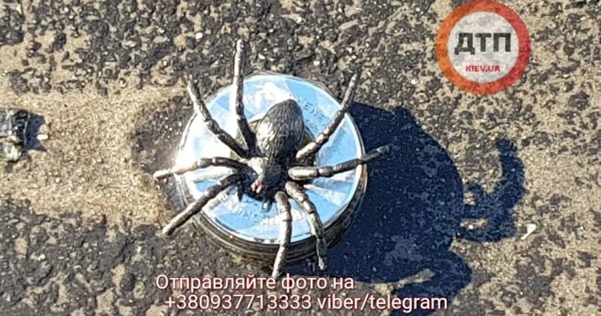 аварыя на мосту патона_9 / © dtp.kiev.ua