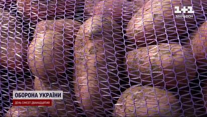 Такої високої ціни на карптоплю не було ніколи! Чому зростає вартість?