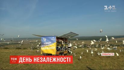 1200 голубів одночасно випустили в небо на Прикарпатті