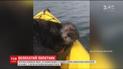 Видра заскочила до каное та почала вкладатися спати