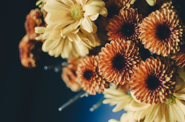 День ангела 19 листопада — душевні привітання в прозі / © unsplash.com