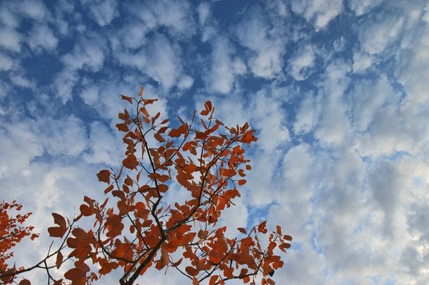 Народні прикмети 22 листопада / © unsplash.com