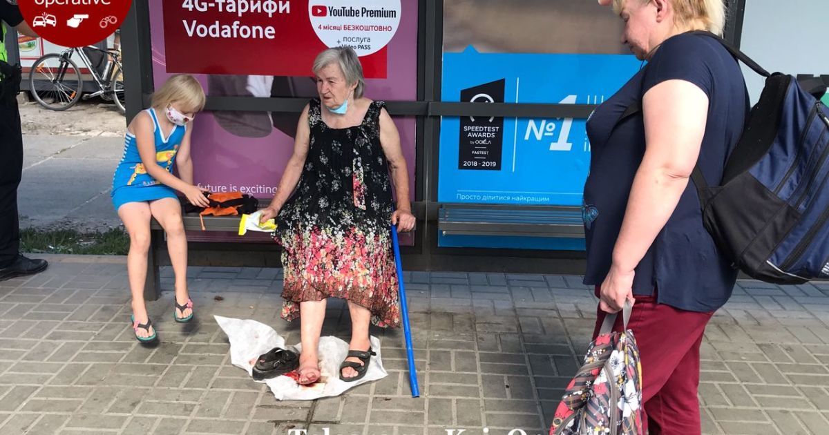 У Києві маршрутчик затиснув дверима літню жінку / © Киев Оперативный