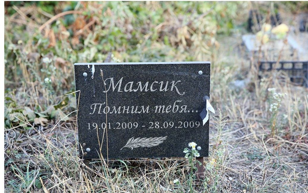 Лебедєв ганебно висміяв цвинтар / © tema.livejournal.com