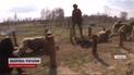 В Чорнобильській зоні гучні вибухи і купа техніки - що відбувається