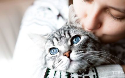 Астрологиня назвала знаки зодіаку, які люблять кішок більше за інших