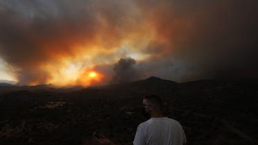 Кіпр лісові пожежі_8 / © Associated Press