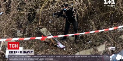 Новини України: у львівському парку діти знайшли людські кістки
