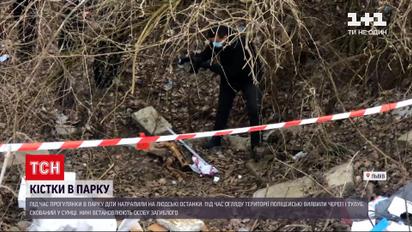 Новини України: у львівському парку діти знайшли людські кістки