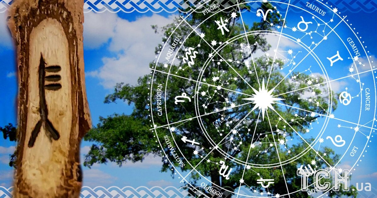 Кельтський гороскоп дерев