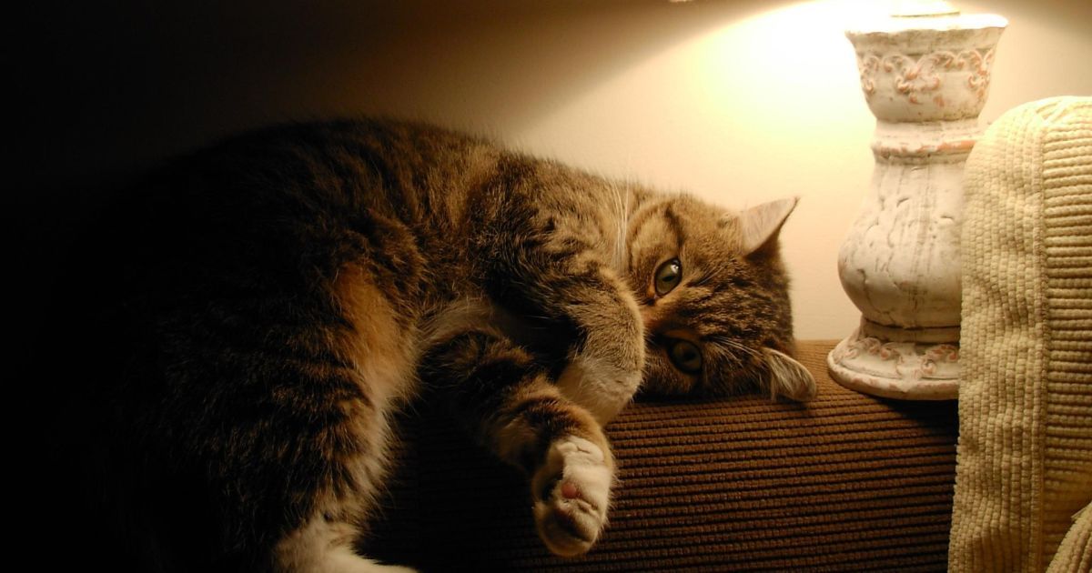 Відключення світла