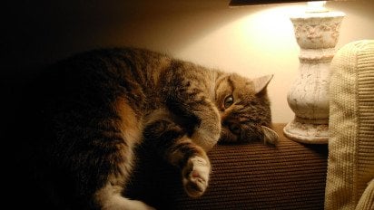 Відключення світла