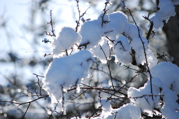 Народні прикмети 12 лютого / © Pexels