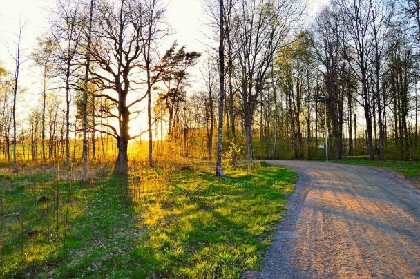 2 березня опівдні світить сонце — хліб вродить / © Pexels