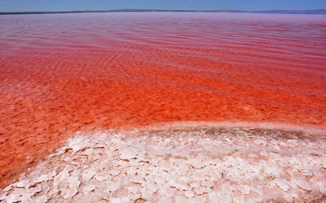 Озеро змінює колір кожного року / © Getty Images