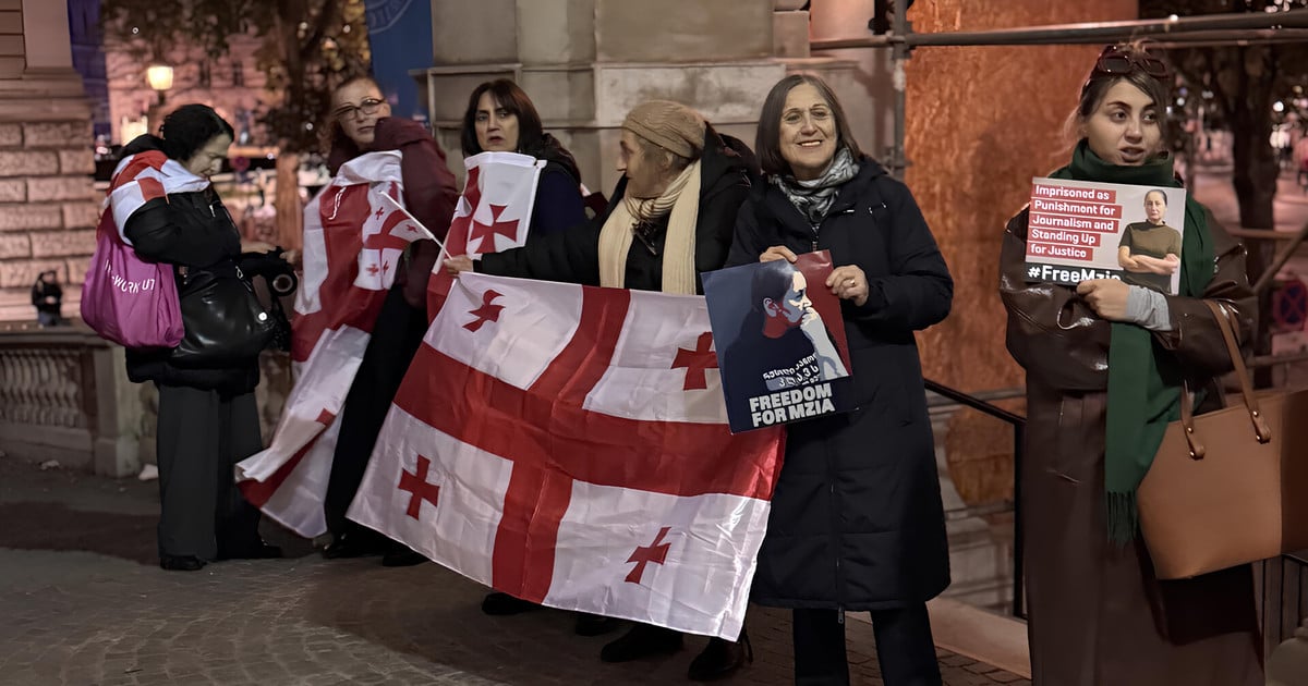 Митинг в поддержку Мзии Амаглобели в Вене