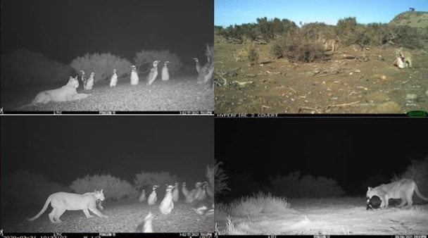  / © Скриншот