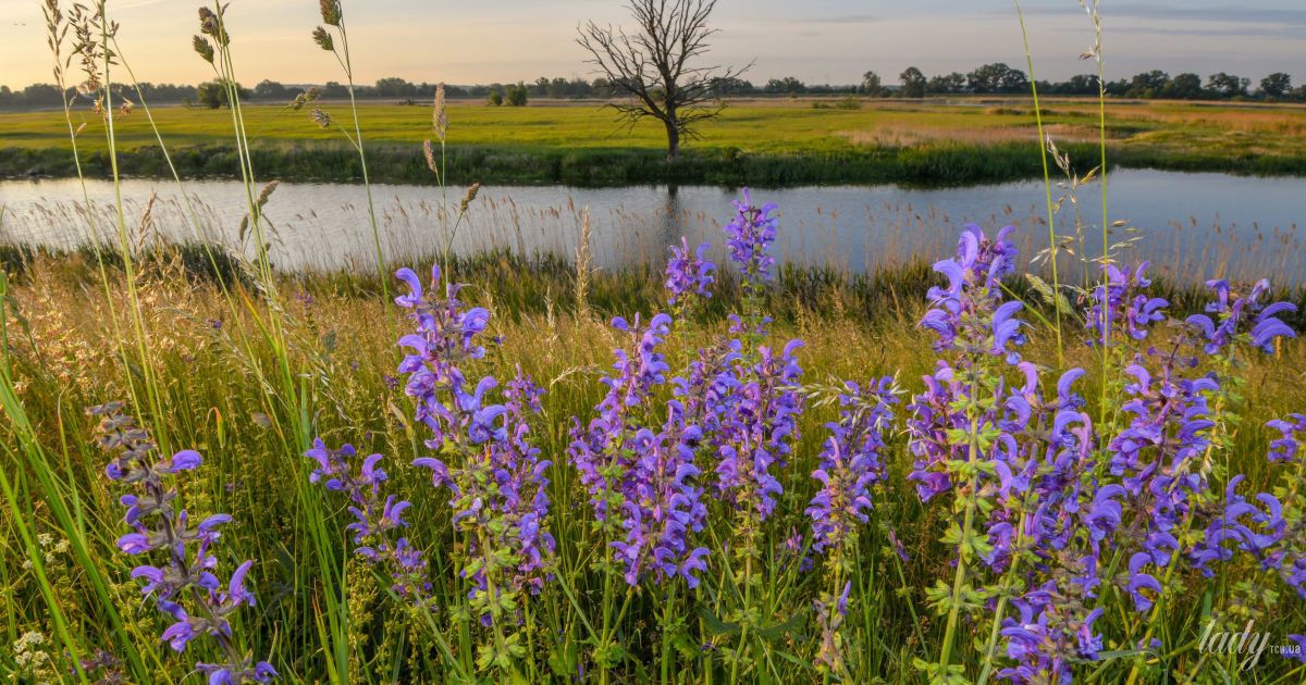 Гороскоп на 5 травня для всіх знаків зодіаку: день, коли потрібно прагнути гармонії