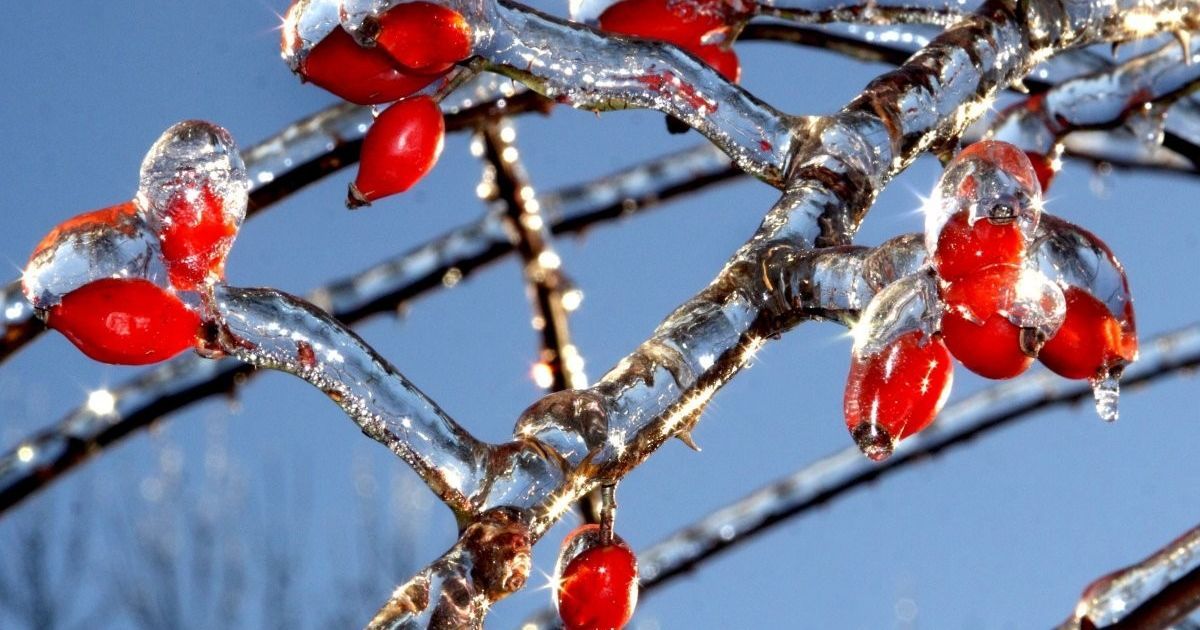 В останній день року на українців чекає плюсова температура, але зі снігом