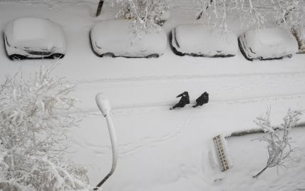Прогноз погоди на 13 січня: до України суне негода зі снігом та хуртовиною