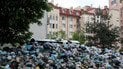 Львівські активісти вийшли розсортувати купи сміття перед його вивезенням