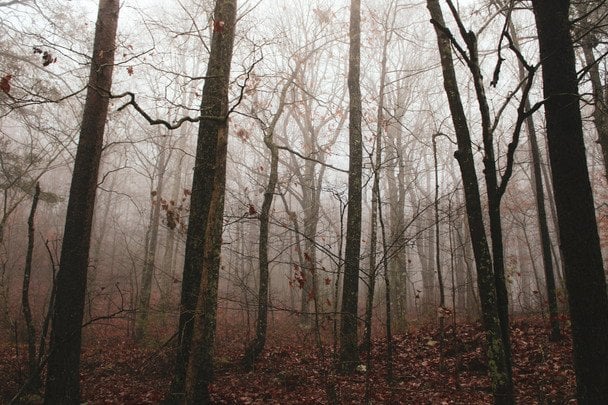 Народні прикмети 3 листопада / © unsplash.com