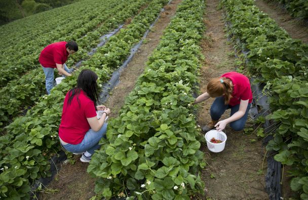  / © Associated Press