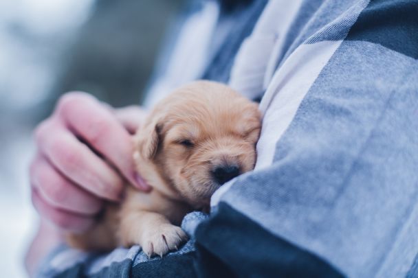  / © unsplash.com