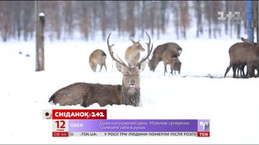 Мій Путівник. Ужгород – оленяча ферма та рибна юшка по-угорськи