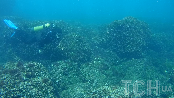 Скриншот з документального фільму ТСН "Побачити дно"