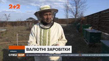 Украина заняла второе место в мире по объему экспорта всех зерновых