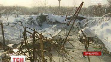 На Прикарпатье из-за непогоды сбежали животные из реабилитационного центра