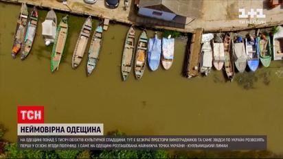 "30 років Незалежності" | Одеська область: життя на островах, виноградники і Куяльницький лиман