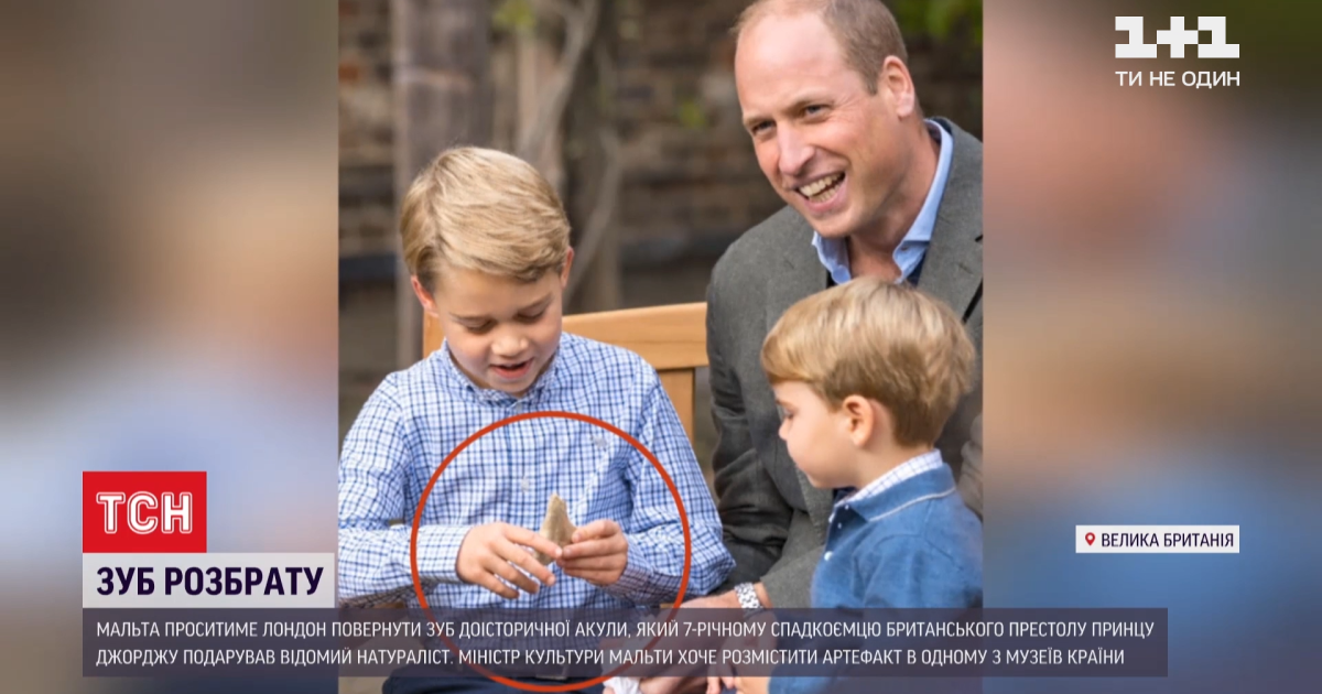 Відібрати подарунок у семирічного принца: Мальта просить повернути зуб доісторичної акули