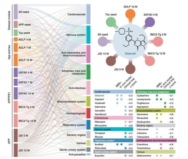 Віагра від хвороби Альцгеймера